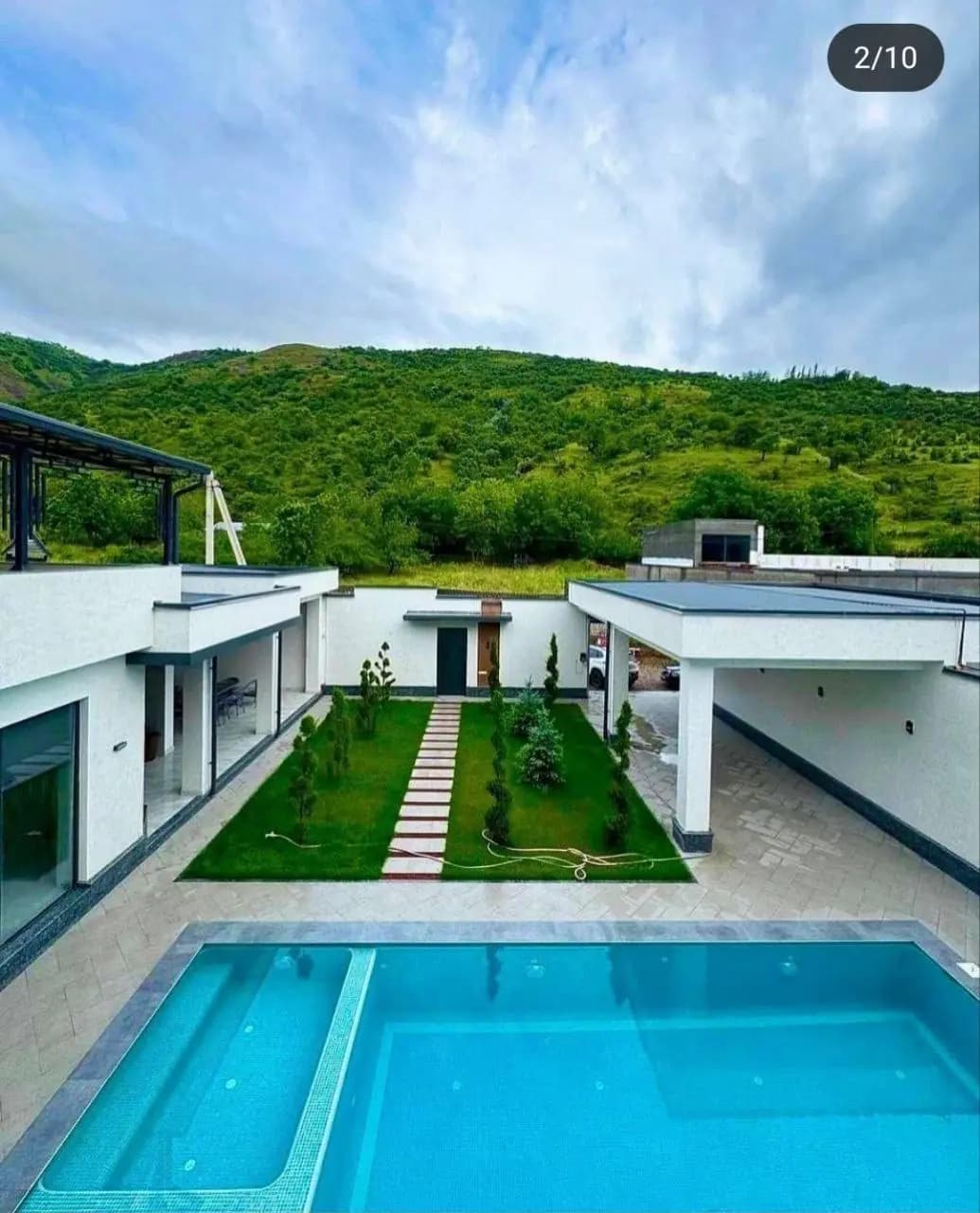Avocado — 8