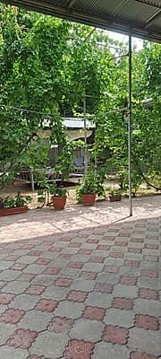 Sotiladi — 4