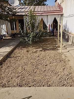 Xovli sotladi — 3