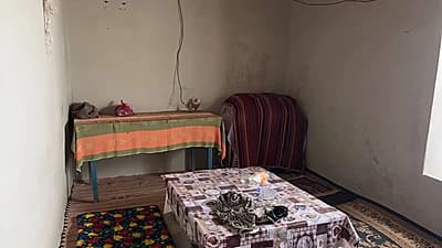 Ferma sotiladi — 7