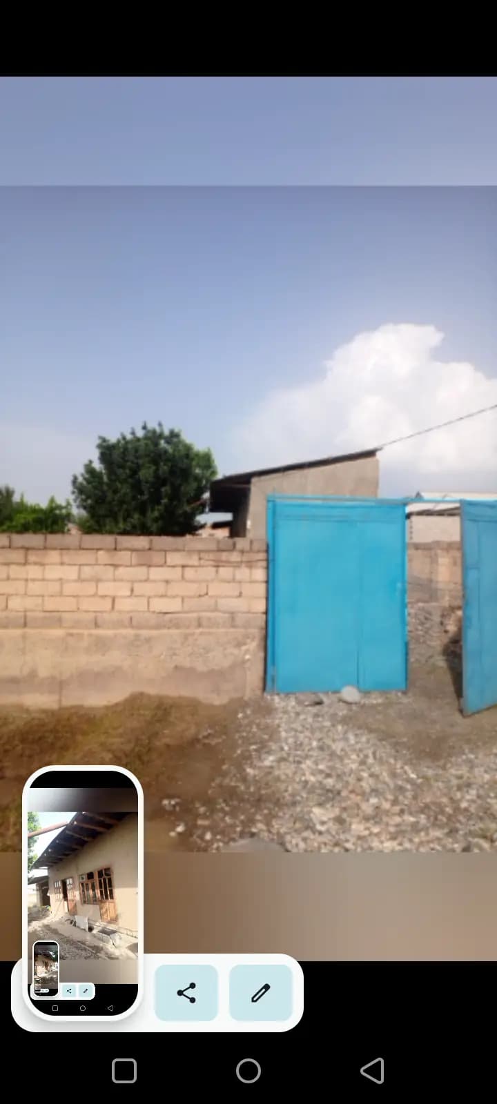 Yashil diyor MFY — 2