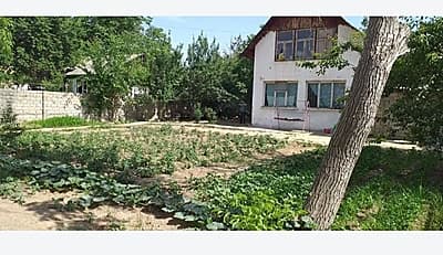 Toshkent viloyati, Zangiota tumani gagarinda  joylashgan  Dala hovli sotiladi — 2