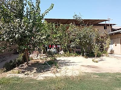 Uchaska sotiladi — 5