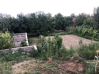 ЯНГИ ЙУЛ ТУМАНИ НАВБОХОР қ.ф.й.  НУРОБОД МАХАЛЛАСИ — 5