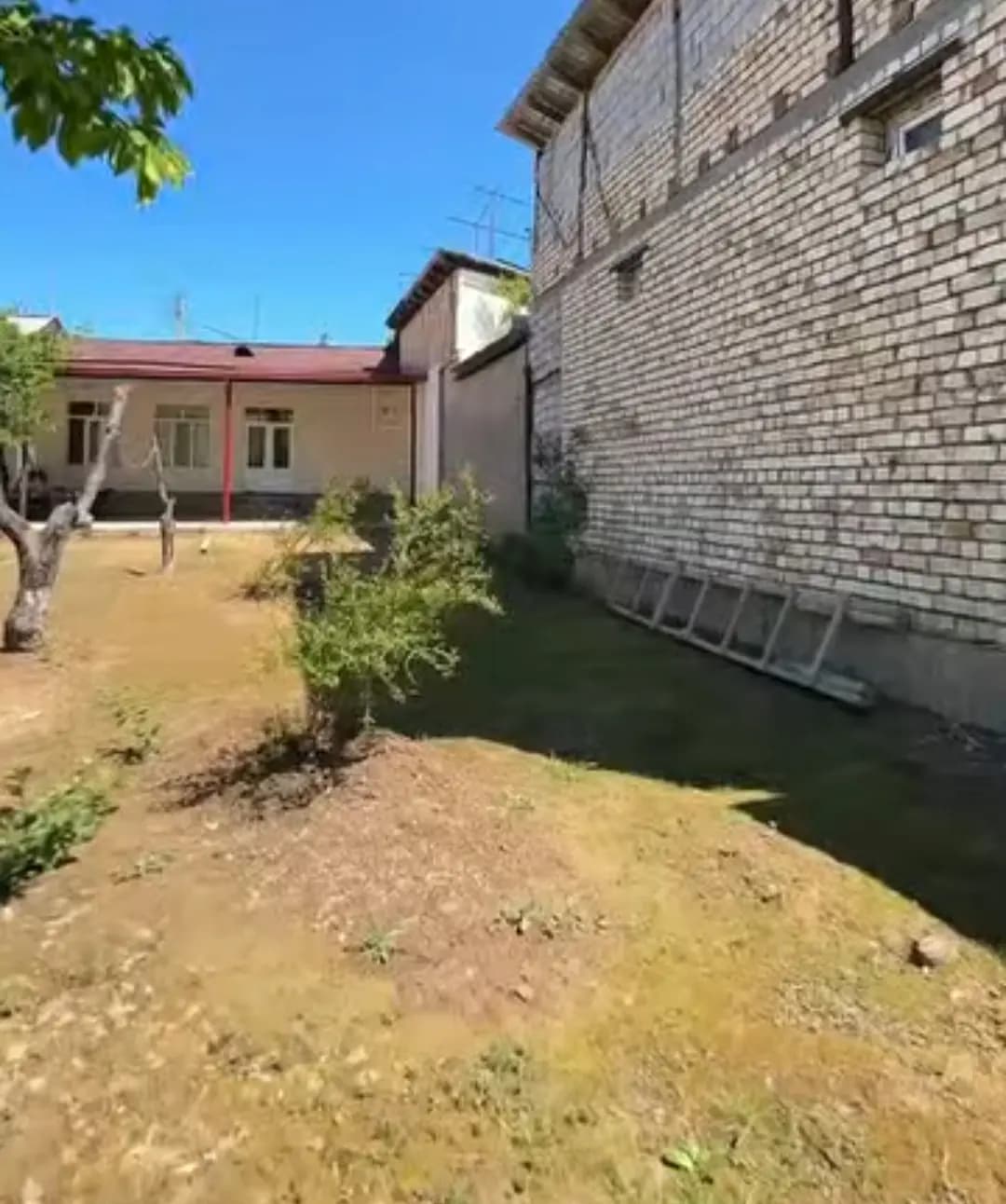 Olmozor oxunboboy maxlada yer sotilvoti — 1