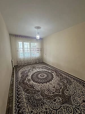 Аренда 2/3/4 Коракамиш 2/5 — 2