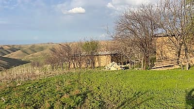 Ferma sotiladi — 4