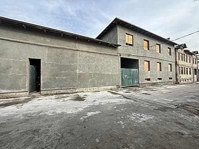 Дурмень 10 соток — 2