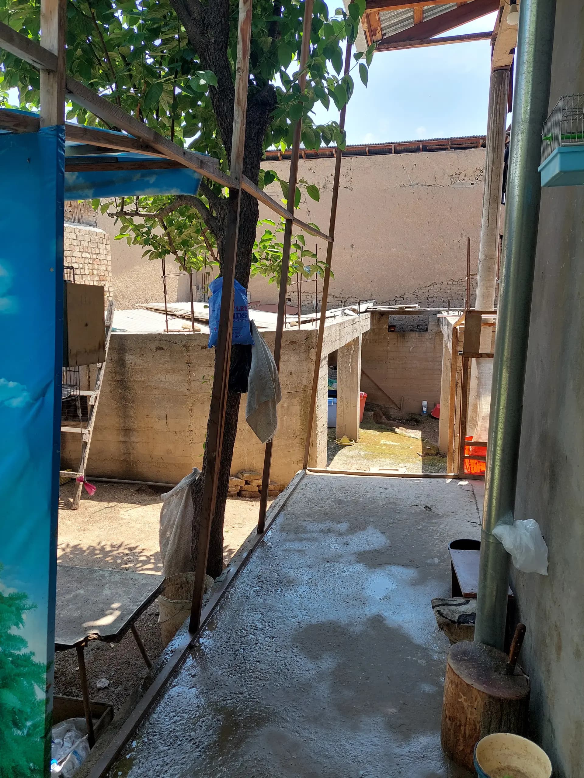Toshkent shahri Shayxontohur tumani ko'kcha masjid 2 oqlon ko'chasi 59 a uy — 3