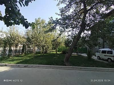 Ареда — 2