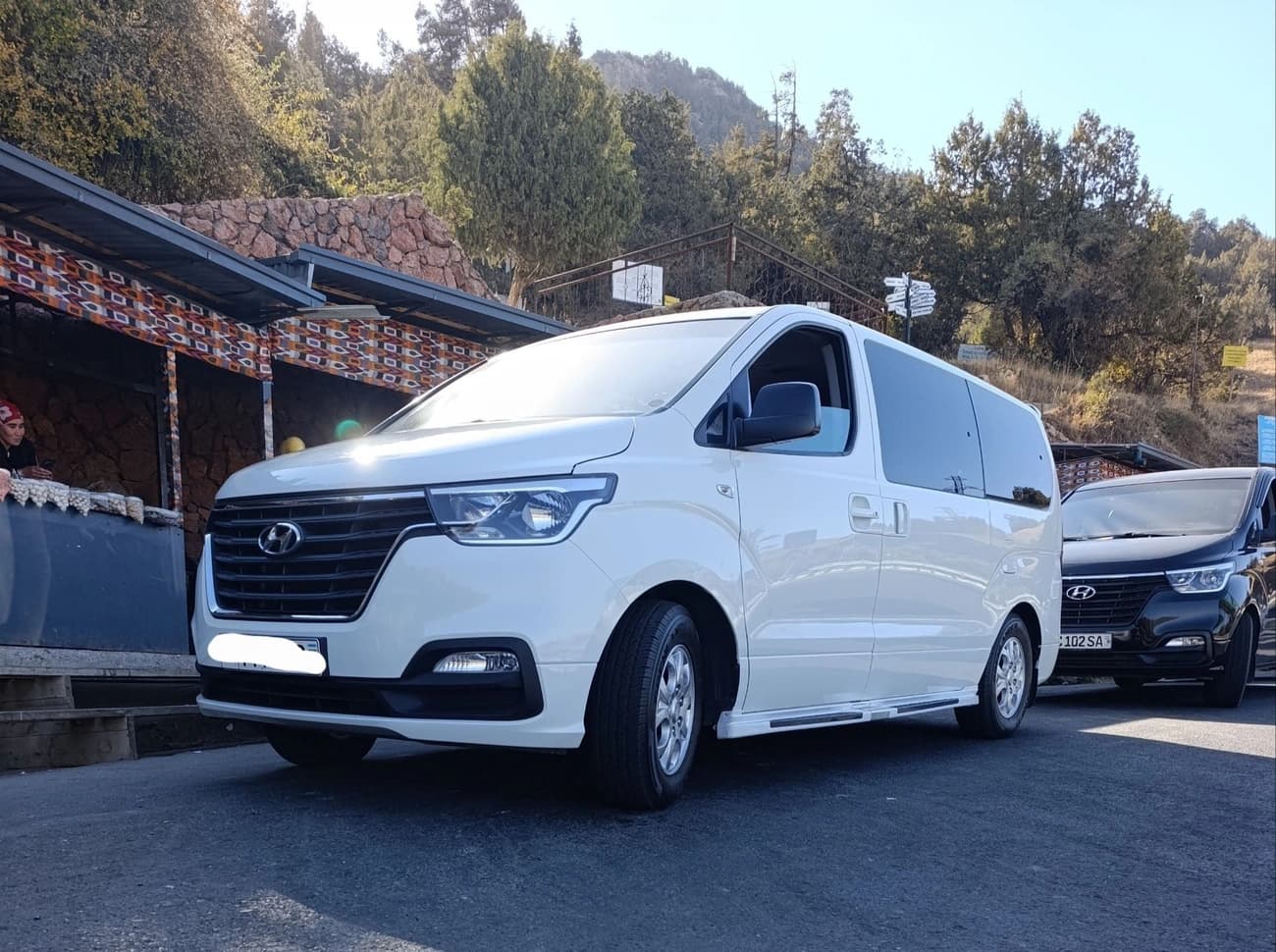 Hyundai Grand Starex 2009 — 3