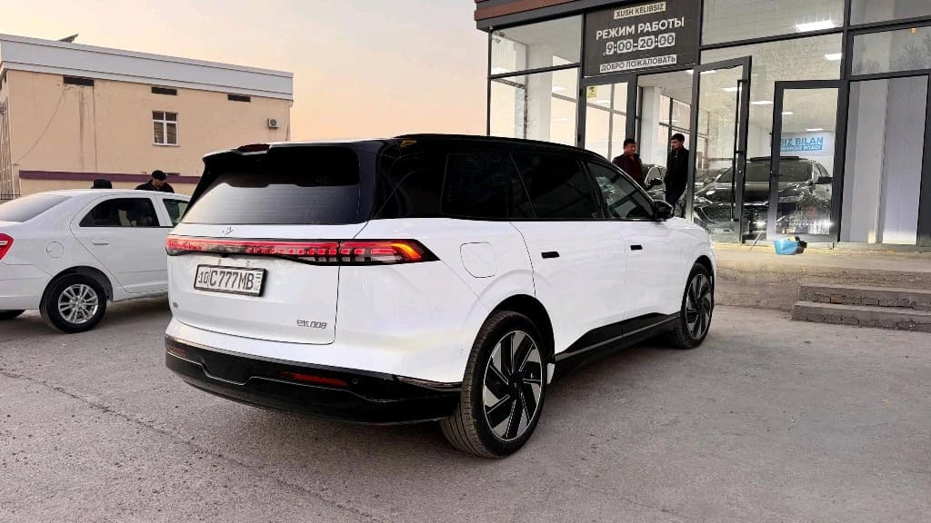 Dongfeng EP 008 2025 — 1