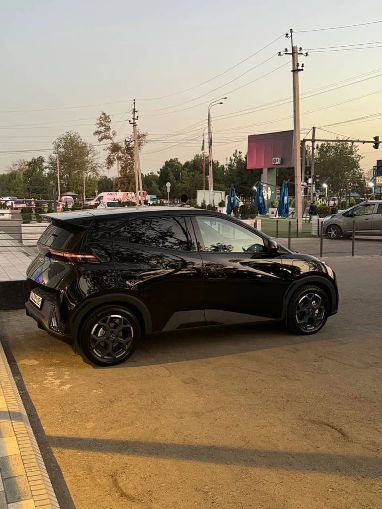 BYD Seagull 2024 — 1
