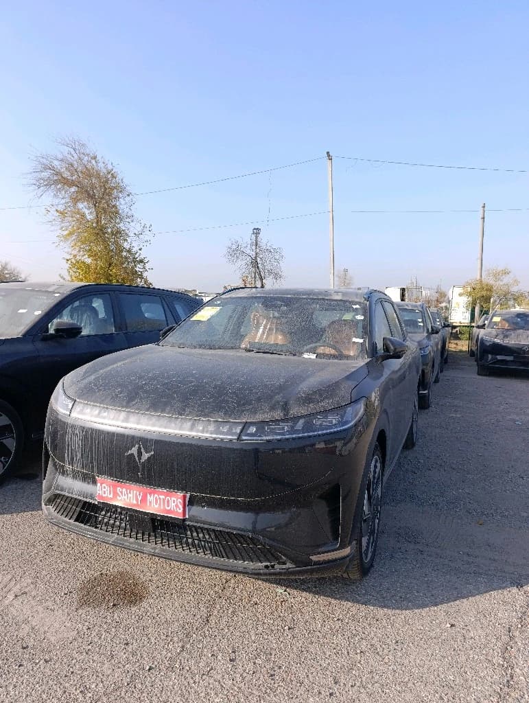 Dongfeng EP 008 2025 — 2