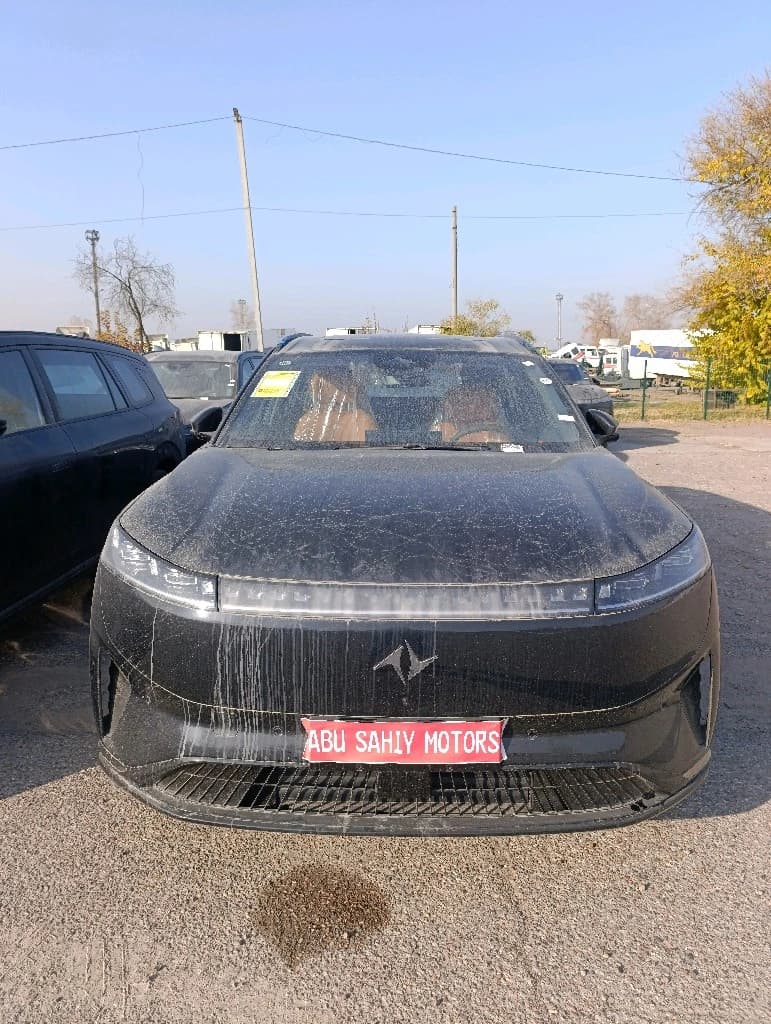 Dongfeng EP 008 2025 — 3