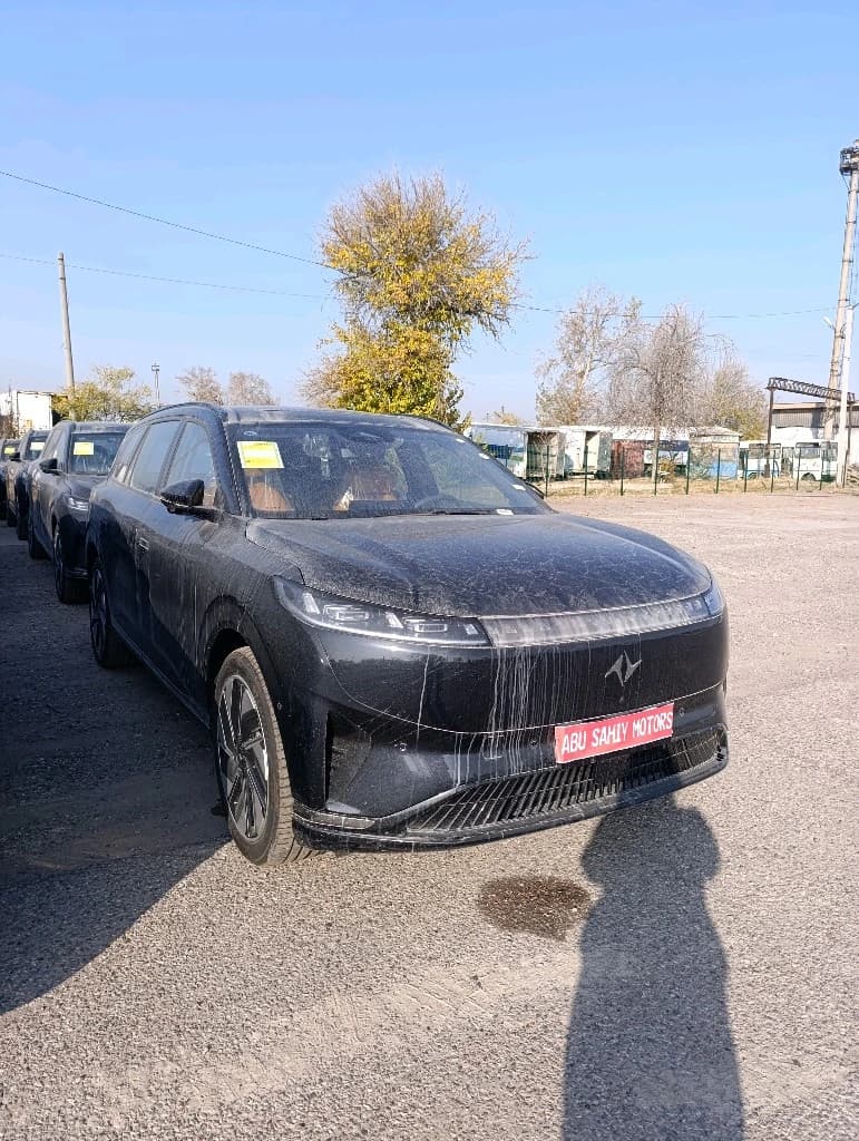 Dongfeng EP 008 2025 — 4