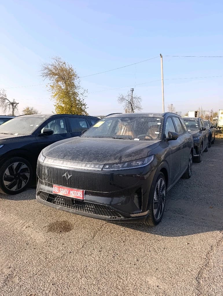 Dongfeng EP 008 2025 — 6
