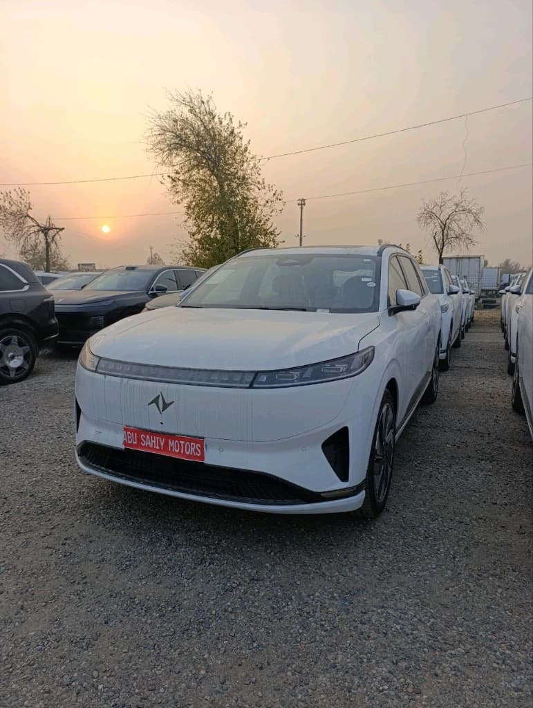 Dongfeng EP 008 2025 — 2