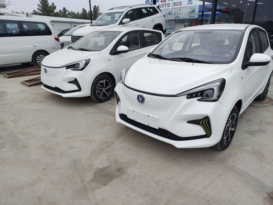 Changan Benben E-Star 2024 — 1