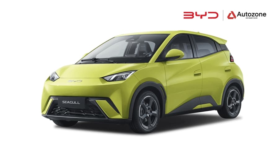 BYD Seagull 2025 — 2