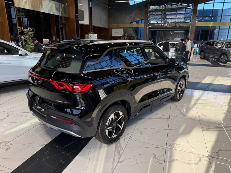 BYD Yuan Up 2026 — 5