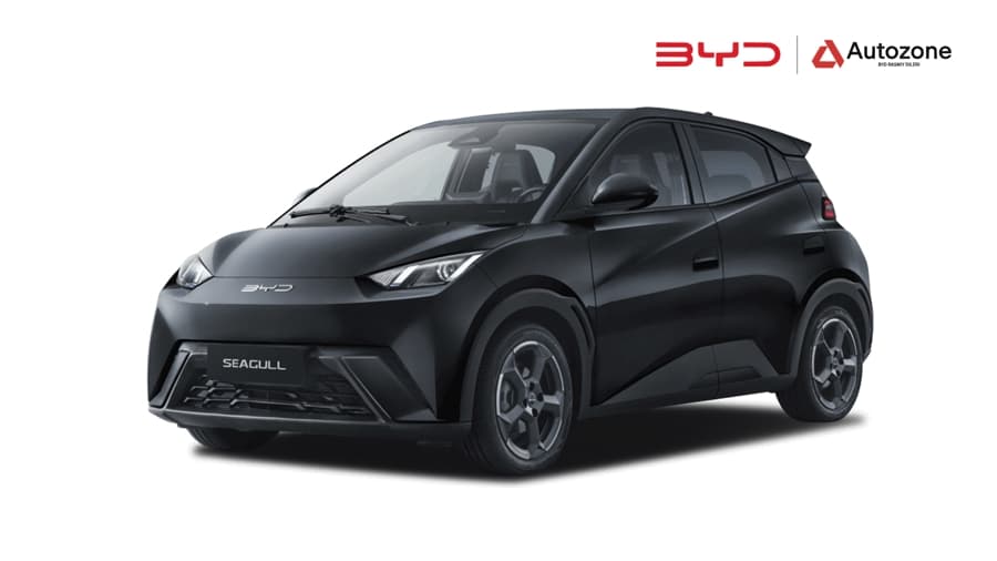 BYD Seagull 2025 — 1