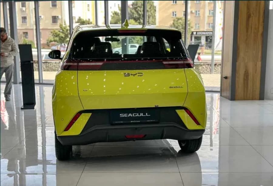 BYD Seagull 2025 — 2
