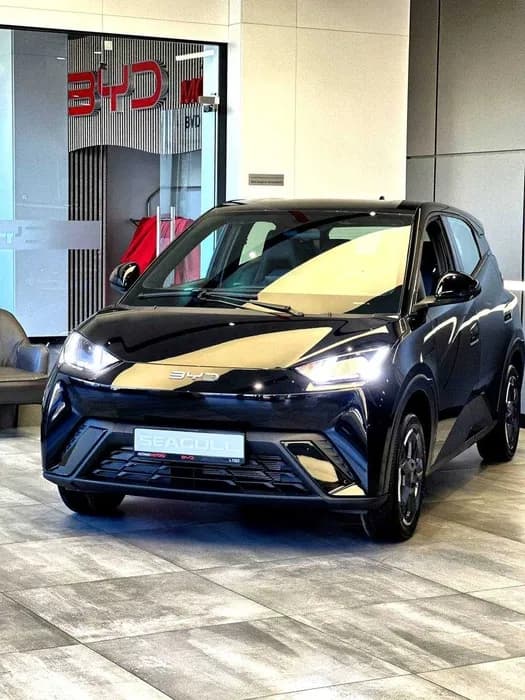 BYD Seagull 2025 — 1