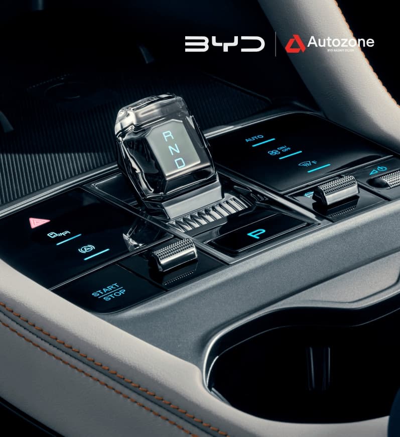 BYD Song Plus EV 2025 — 5