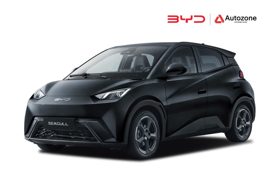 BYD Seagull 2025 — 1