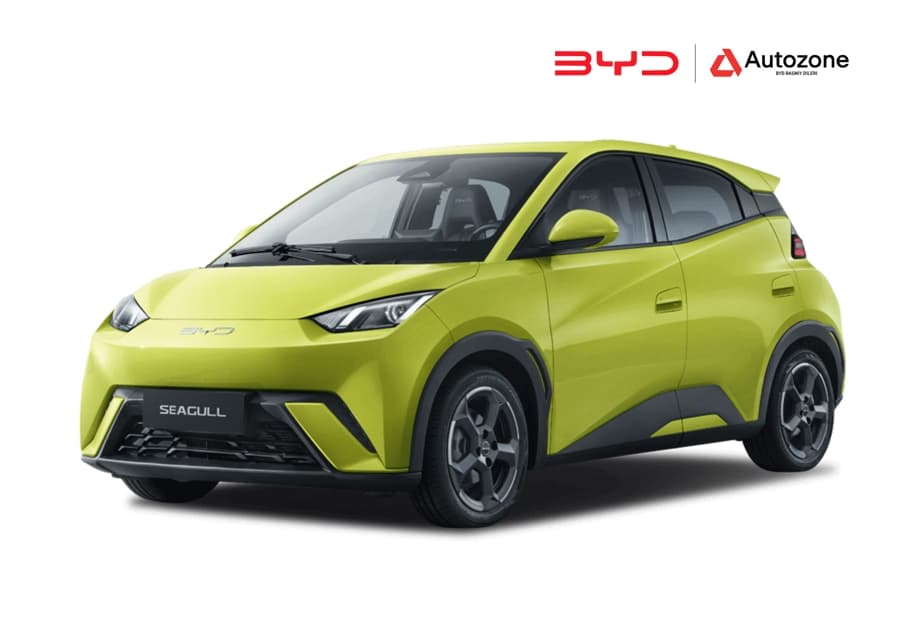 BYD Seagull 2025 — 2