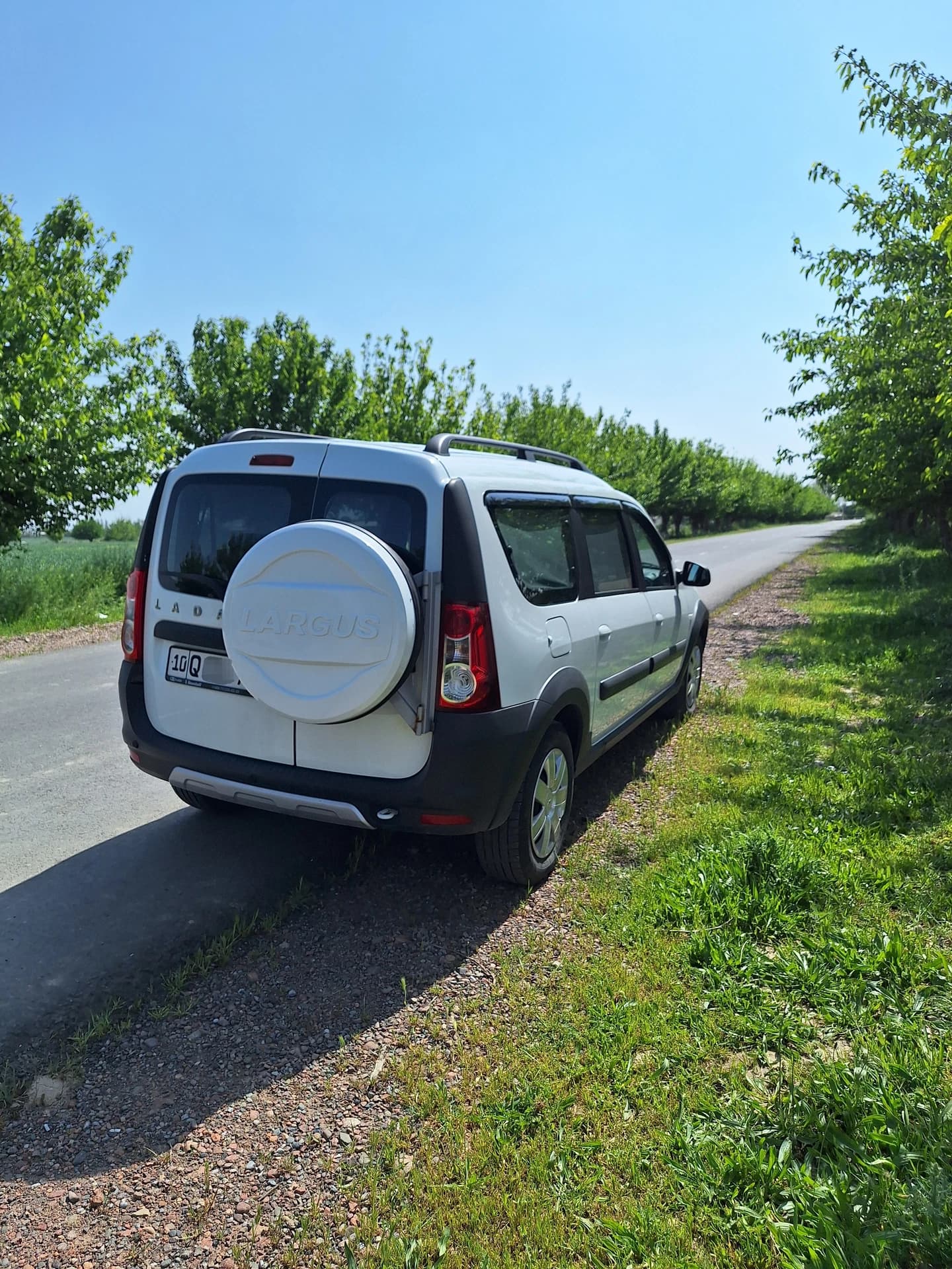 Lada (ВАЗ) Largus 2019 — 3
