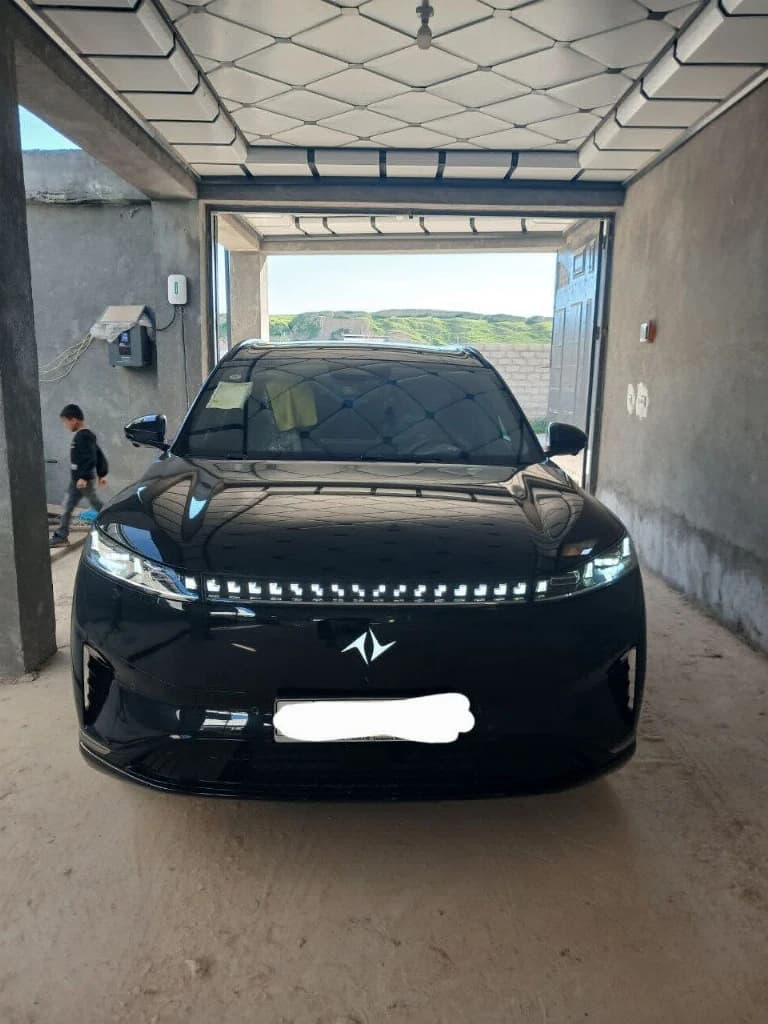 Dongfeng EP 008 2025 — 5