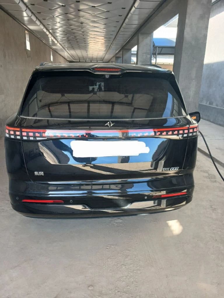 Dongfeng EP 008 2025 — 9