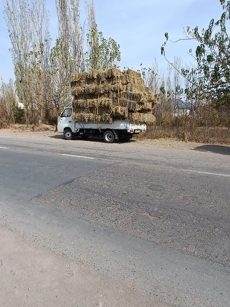 Foton Gratour V3 2025 — 6