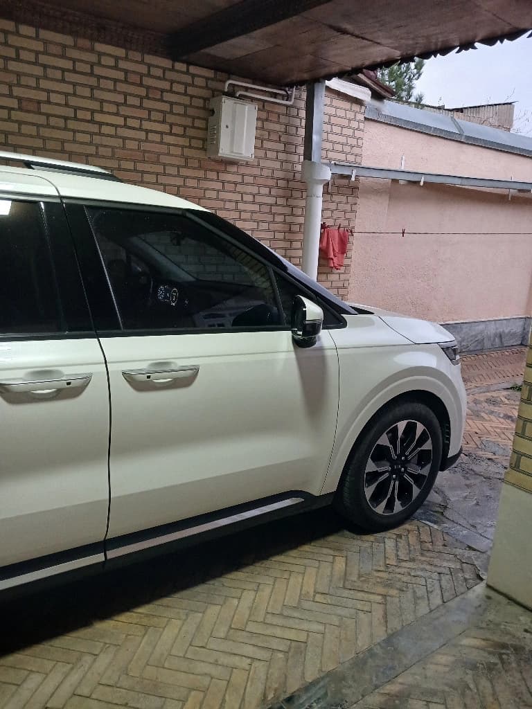 Kia Carnival 2021 — 6