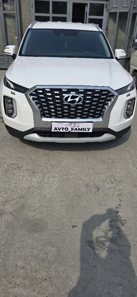 Hyundai Palisade 2023 — 1