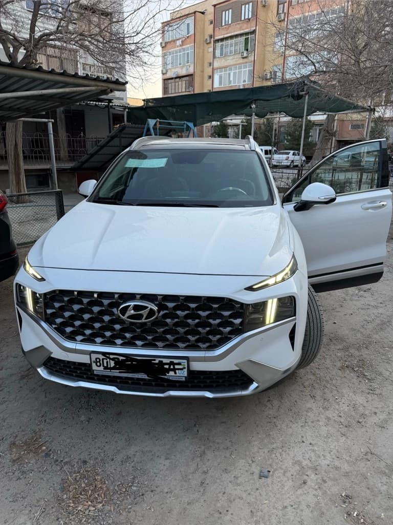 Hyundai Santa Fe 2021 — 1