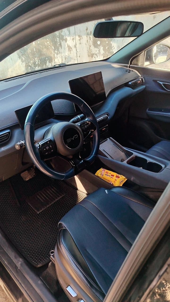BYD Seagull 2024 — 1