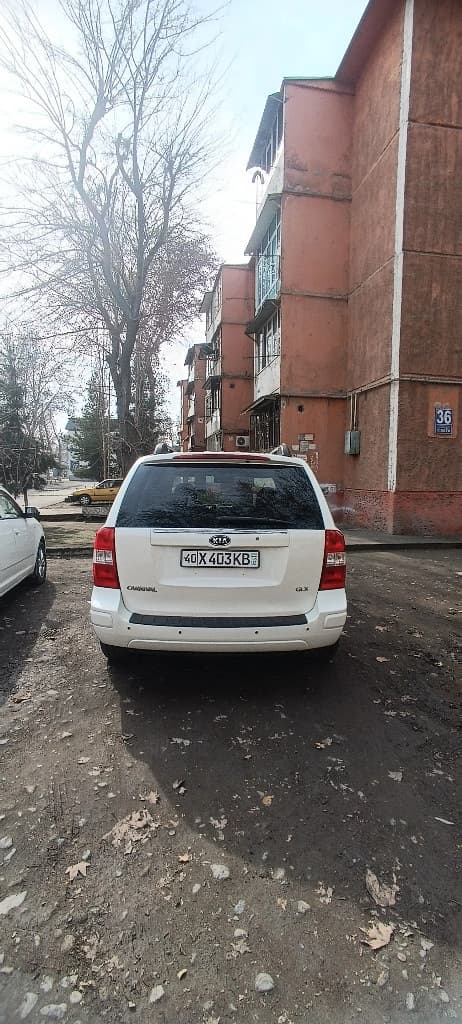 Kia Carnival 2007 — 4