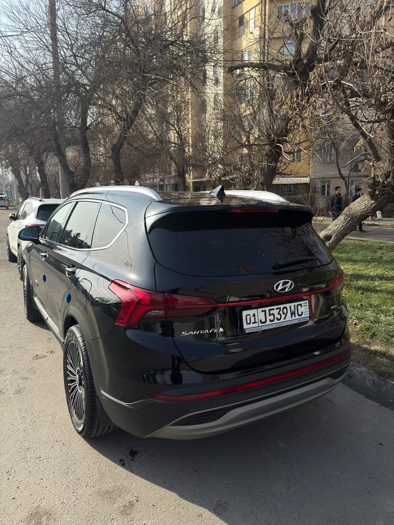 Hyundai Santa Fe 2022 — 1