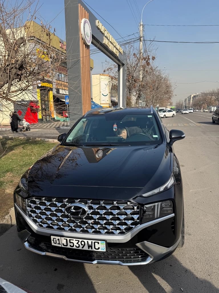 Hyundai Santa Fe 2022 — 3