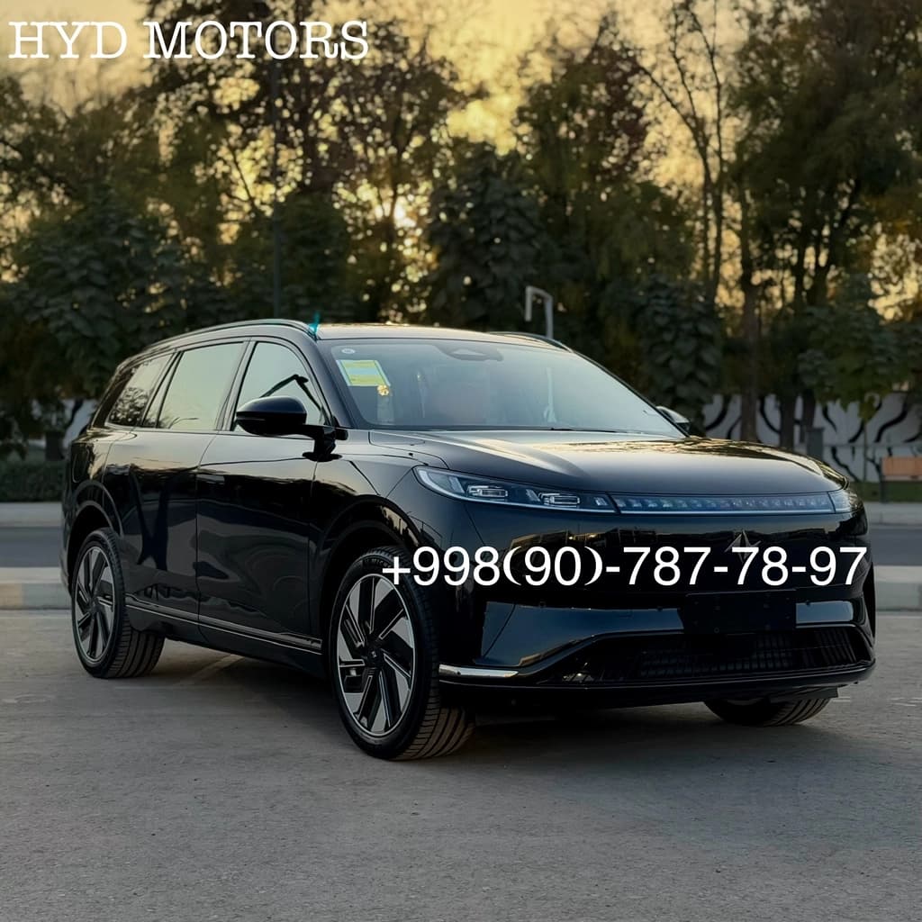 Dongfeng EP 008 2025 — 1