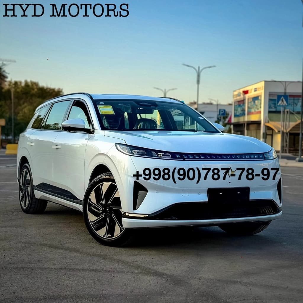 Dongfeng EP 008 2025 — 2