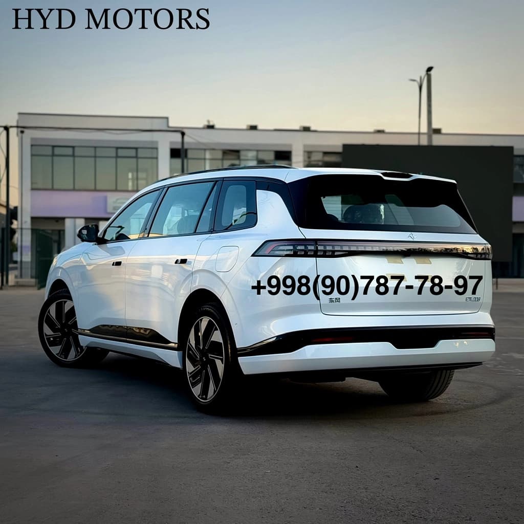 Dongfeng EP 008 2025 — 3