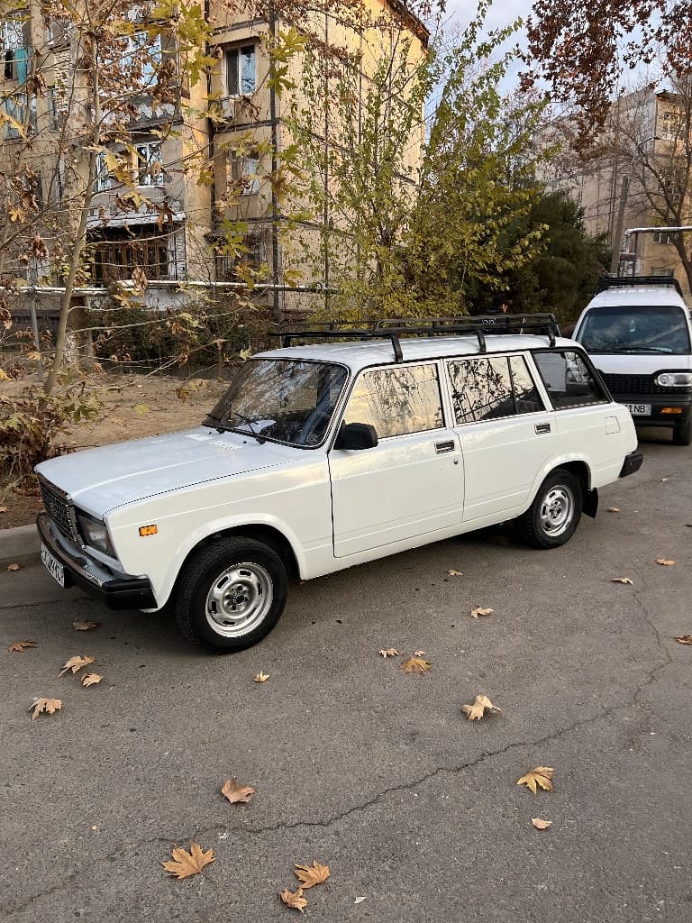 Lada (ВАЗ) 2104 2010 — 4