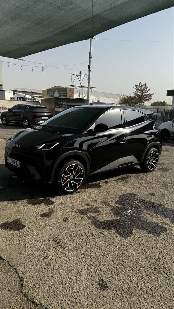BYD Seagull 2024 — 1