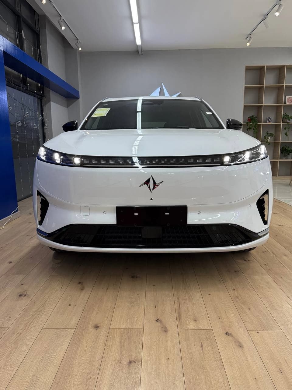 Dongfeng EP 008 2026 — 1