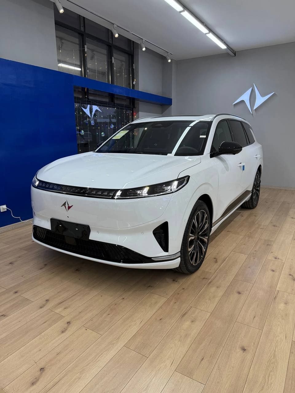 Dongfeng EP 008 2026 — 6