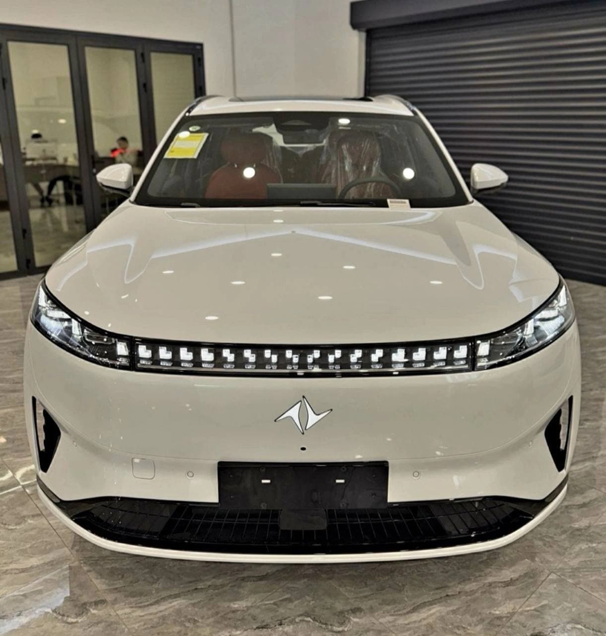 Dongfeng EP 008 2026 — 1